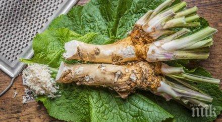 силният природен лек коригира паметта топи мазнините подобрява зрението слуха