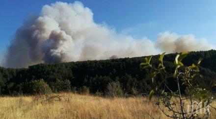 отмениха евакуацията жителите село влахи
