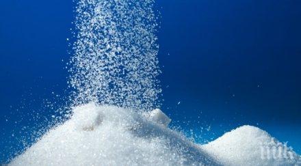 учени обявиха захарта наркотик