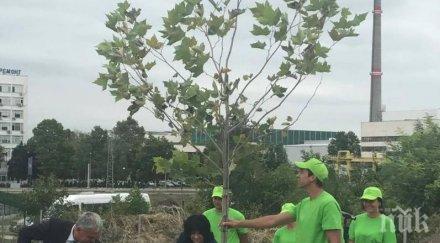 теменужка петкова важна новина белене бъдещите инвеститори