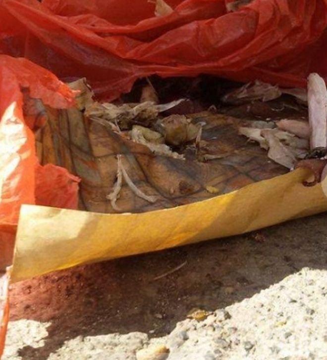 Ужас! Пловдив се вмириса на мърша (СНИМКИ)