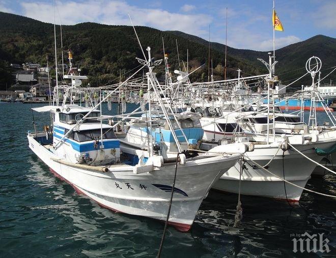 Инцидент! Двама загинали и един изчезнал безследно след сблъсък между два морси съда в Южна Корея