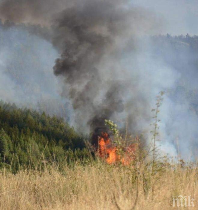 След пожара: Денонощното дежурство в Кресна продължава