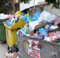 Кланица на тротоар в Пловдив! Кървави кости се търкалят до кофите за боклук (СНИМКИ)
