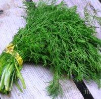 Тези храни правят стомаха здрав