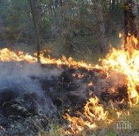 ОТ ПОСЛЕДНИТЕ МИНУТИ! Пожар гори край две села в община Тунджа