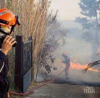 Бедствие! Над 400 хектара гора унищожени за часове от горски пожар във Франция