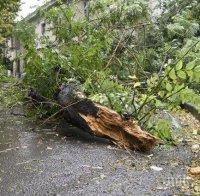 Бурята във Врачанско остави шест общини без ток