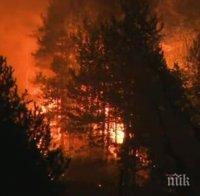 Губернаторът на Калифорния обяви бедствено положение заради пожар