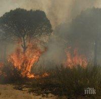 Пожарникари бдят край Хисаря, за да не тръгне отново огънят
