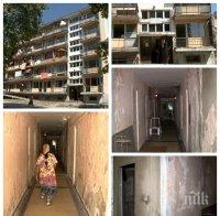 Мизерия!  Мухъл, бълхи и дървеници в приют за бездомни във Варна