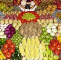 Русия разреши вноса на различни видове зеленчуци от Турция