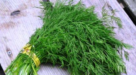 храни правят стомаха здрав