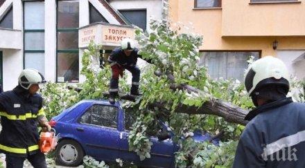 апокалипсис пострадали бурята врачанско