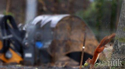 обезвредиха бомба втората световна война кобленц