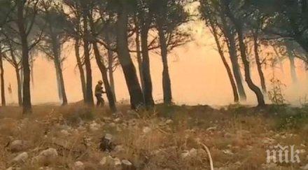 косъм локализираха пожара савино златаре