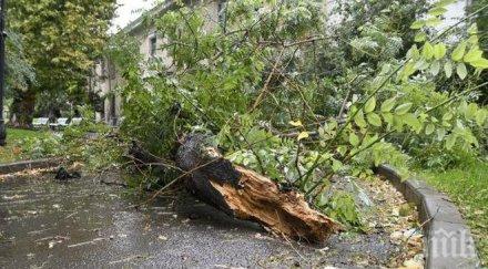 бурята врачанско остави шест общини без ток