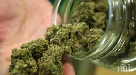 вниманието родителите походката издава пушачите марихуана