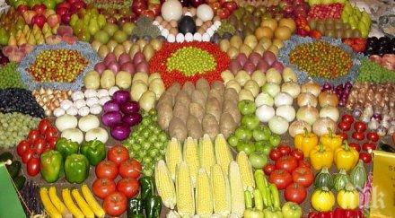 русия разреши вноса различни видове зеленчуци турция