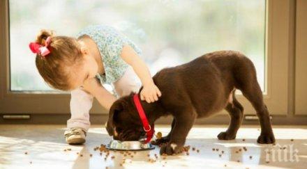 вижте подходящият домашен любимец зодията