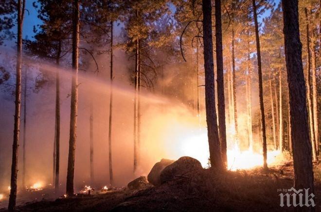 Безсънна нощ! Ямболски села в ужас, евакуират ги след пожар