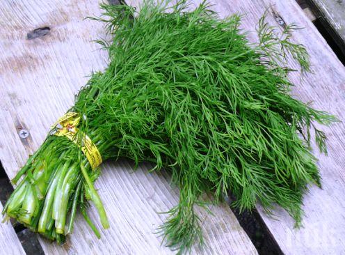 7 стъпки за здрав стомах