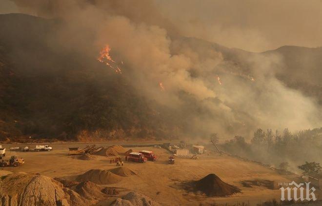 Евакуираха 700 жилища заради най-големия горски пожар в Лос Анджелис