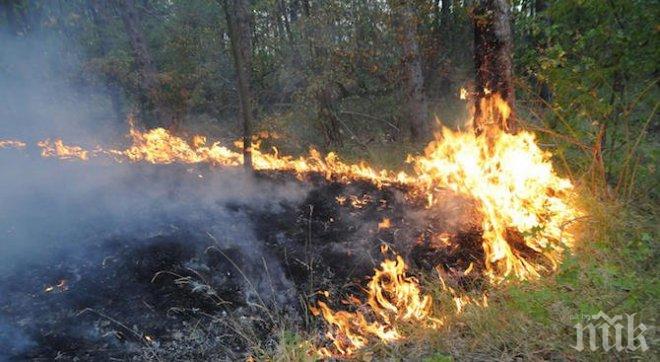 ОТ ПОСЛЕДНИТЕ МИНУТИ! Пожар гори край две села в община Тунджа