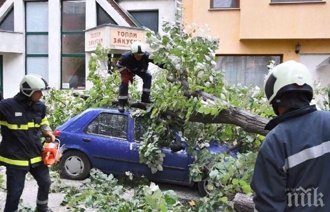 Апокалипсис! Има пострадали след бурята във Врачанско