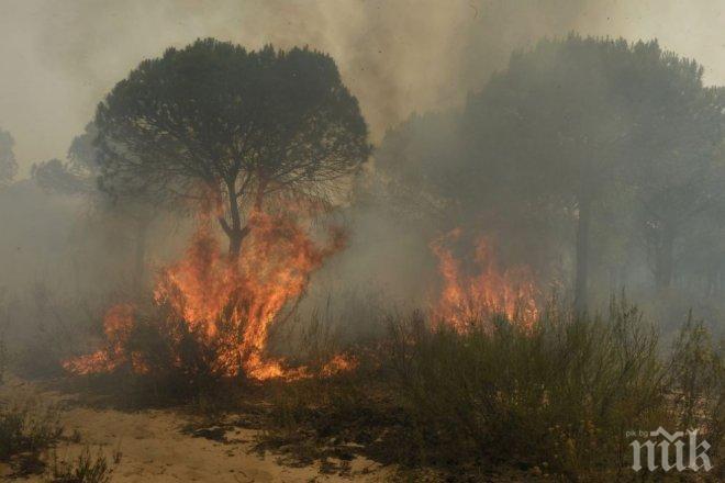 Пожарникари бдят край Хисаря, за да не тръгне отново огънят