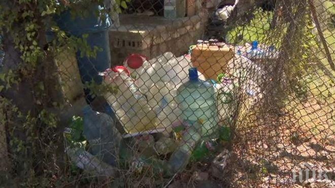 Луковит пропищя от хепатит