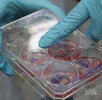 Гените ни отиват на боклука, ако не си доплатим