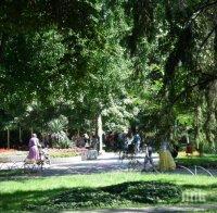 СТРАШНА ТРАГЕДИЯ! Полицай от Пазарджик намери мъртъв младеж на пейка