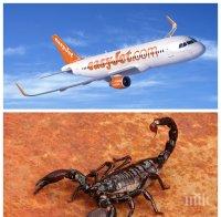 Непредвидено! Скорпион отложи международен полет на британска авиокомпания