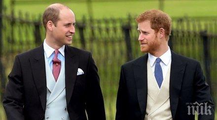 любопитно вижте изглеждали принцовете уилям хари първия учебен ден снимки