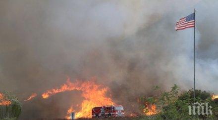 пожар пламна нова загора