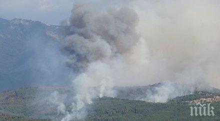 пастирът предизвикал огромния пожар кресна остава ареста