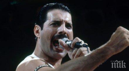 гениалният фреди меркюри щеше навърши години снимки
