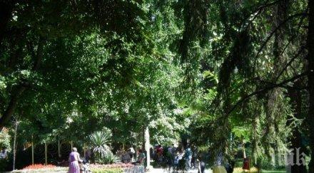 страшна трагедия полицай пазарджик намери мъртъв младеж пейка