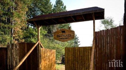 ужас оставиха без дом участниците фермата снимки