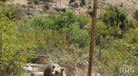 девет села смолянско останаха без нито един жител