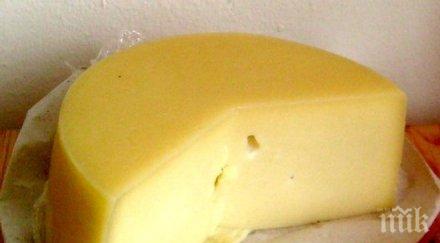 скандално българският кашкавал евтин германия отколкото нас