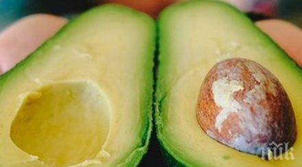 учени установиха живеем дълго