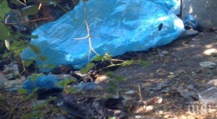 подробности намерения мъртъв костадин синът шок пътува бургас