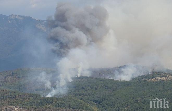 Пастирът, предизвикал огромния пожар край Кресна, остава в ареста