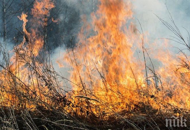 Човешка небрежност причинила пожарите, унищожили стотици декари гори и посеви