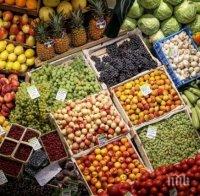 Цените на плодовете и зеленчуците остават ниски за сезона 