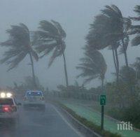 Хиляди остават без ток във Флорида