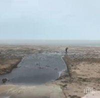 Апокалиптично! „Ирма“ изсмука водата край плажовете на Бахамите