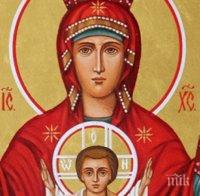 УНИКУМ! Образът на Богородица се яви край Лом